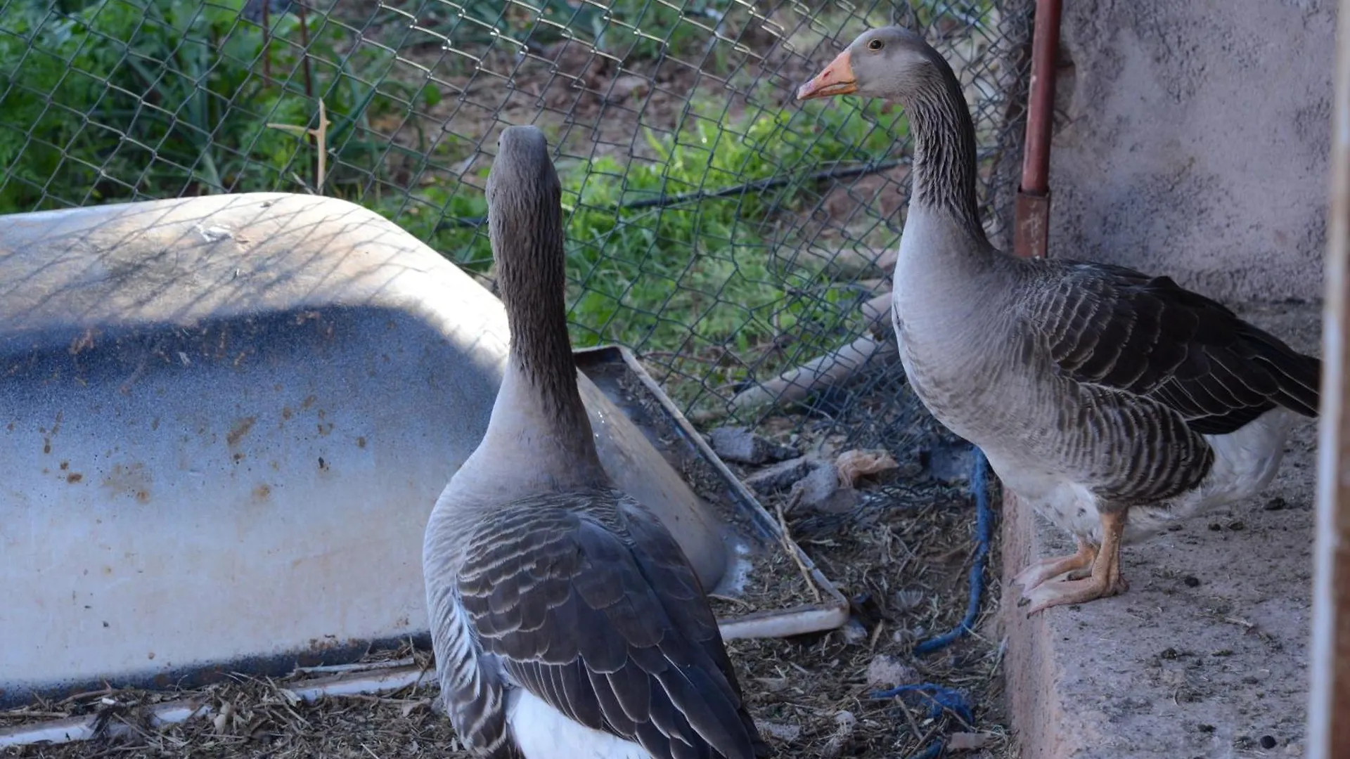 Eco Farm Tayssir Marrakech Hotel Ait Sidi Daoud