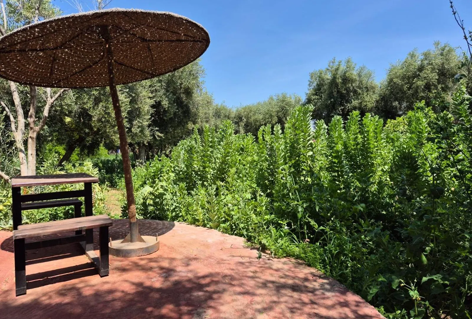 Eco Farm Tayssir Marrakech Hotel Ait Sidi Daoud