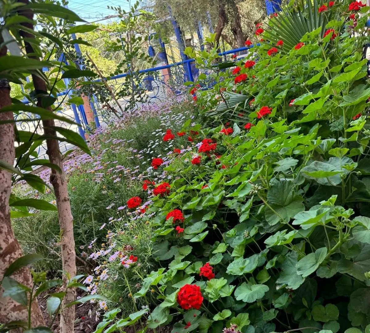 Eco Farm Tayssir Marrakech Hotel Ait Sidi Daoud Morocco
