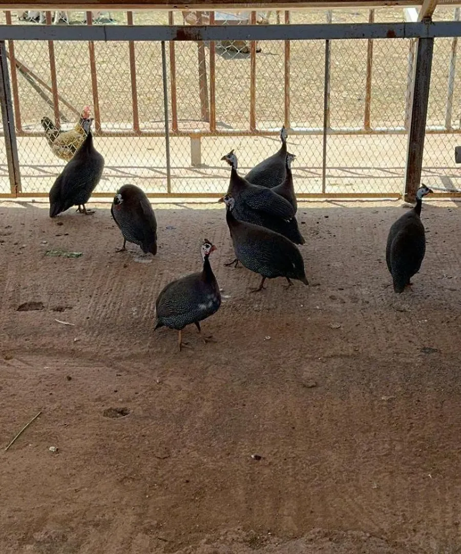 Eco Farm Tayssir Marrakech Hotel Ait Sidi Daoud