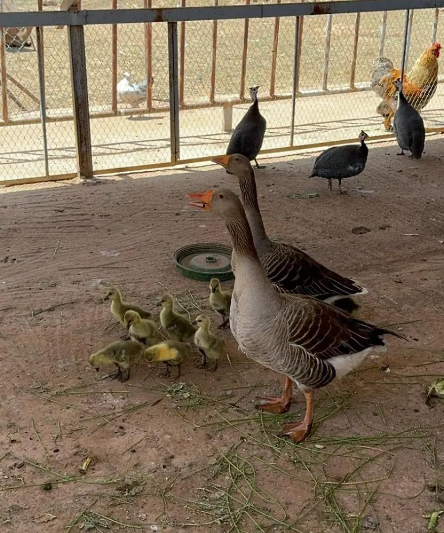 Eco Farm Tayssir Marrakech Hotel Ait Sidi Daoud