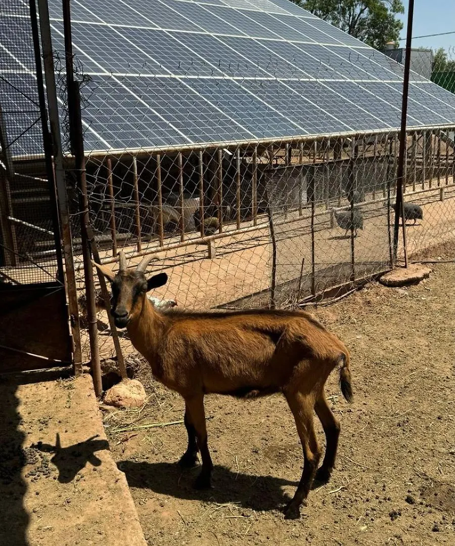 Eco Farm Tayssir Marrakech Hotel Ait Sidi Daoud